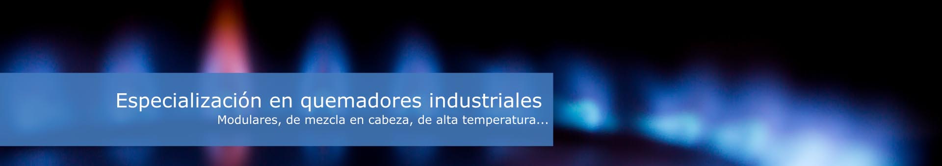 banner quemadores industriales